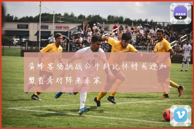 黄蜂客场挑战公牛科比怀特或迎加盟首秀对阵老东家