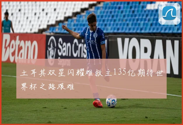 土耳其双星闪耀难救主135亿期待世界杯之路艰难