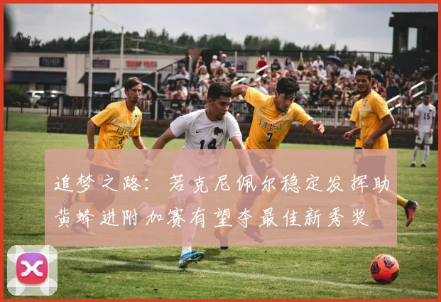 追梦之路：若克尼佩尔稳定发挥助黄蜂进附加赛有望夺最佳新秀奖