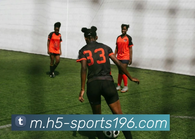 196体育平台生态图